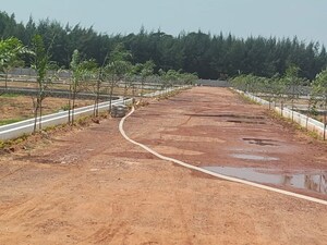  Plot For Sale in Thummapala
