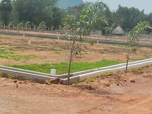 Plot Area in  Plot at Thummapala – for Sale