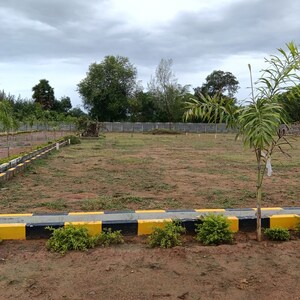 Plot Area in  Plot at Thummapala – for Sale