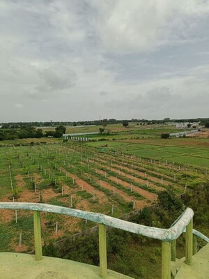 Plot Area in  Plot at Pavan Green Aero View, Tukkuguda – for Sale