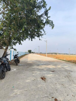  Plot For Sale in Bagepalli
