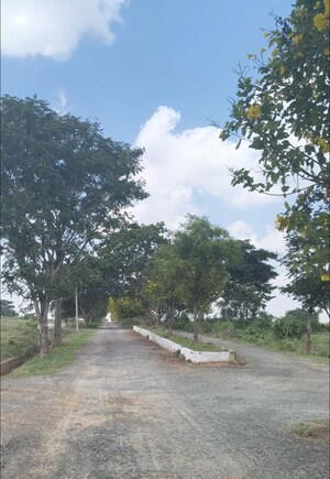 Plot Area in  Plot at Hosur Road – for Sale
