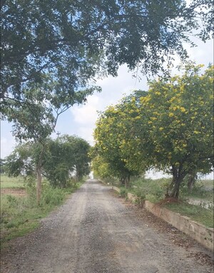  Plot – Exterior View View at Hosur Road - for Sale