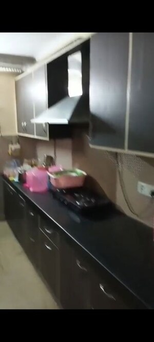 3 BHK Apartment For Rent in Freedom Fighters Enclave
