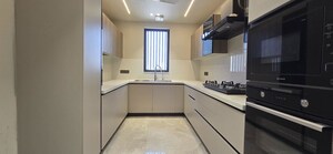 Kitchen in 3 BHK Builder Floor at Sector 22 – for Rent