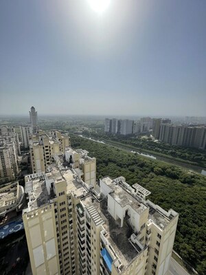 1 BHK Apartment For Rent in Nimbus The Golden Palm, Sector 168