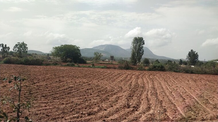 undefined, kanakapura road  2400 Sq.Ft. Plot In Kanakapura Road Bangalore 10726586