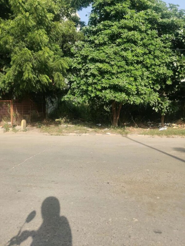 undefined, sector 28  335 Sq.Yd. Plot In Sector 28 Rohtak 10726878