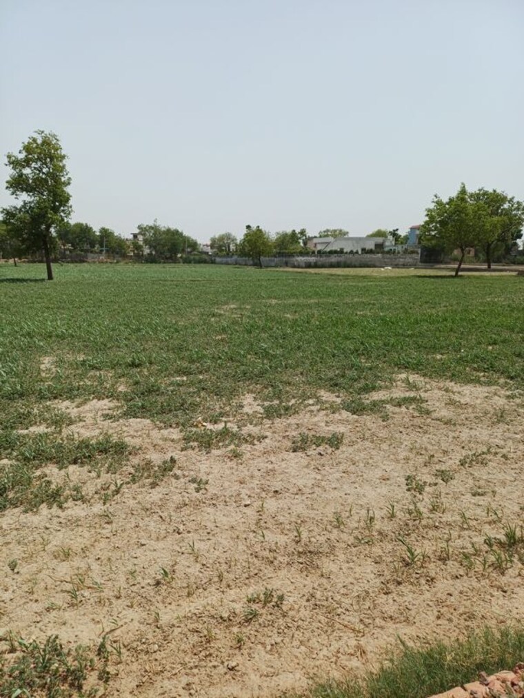 Garden, kanwara village  62 Sq.Yd. Plot In Kanwara Village Faridabad 10726912