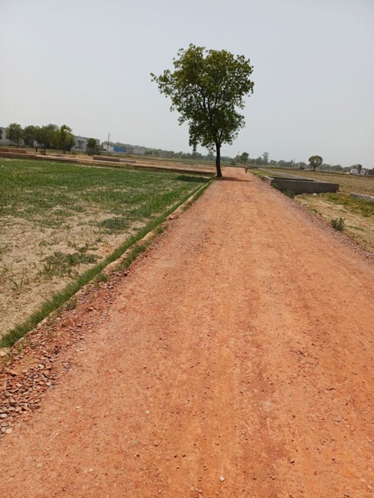undefined, kanwara village  62 Sq.Yd. Plot In Kanwara Village Faridabad 10726912