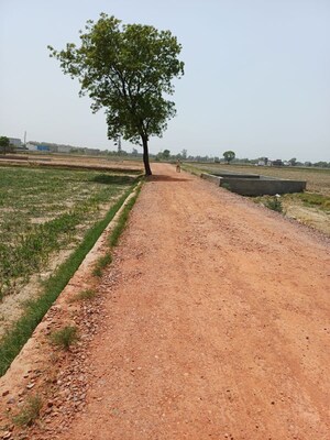 Plot Area in  Plot at Kanwara Village – for Sale