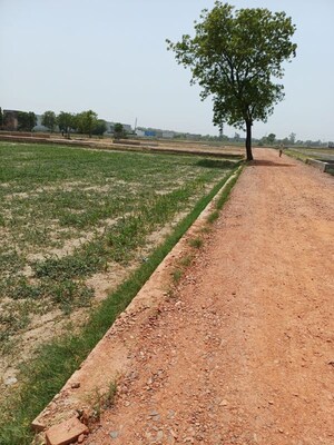 Plot Area in  Plot at Kanwara Village – for Sale