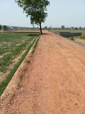  Plot For Sale in Kanwara Village
