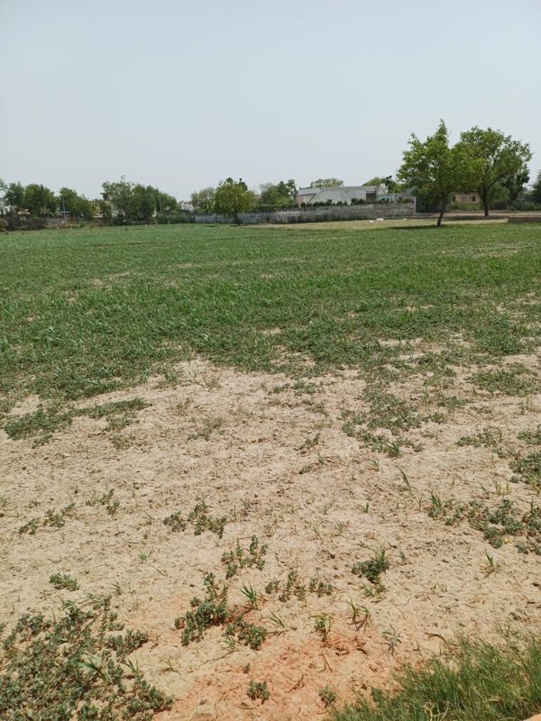Garden, kanwara village  64 Sq.Yd. Plot In Kanwara Village Faridabad 10726945