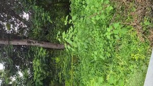  Land For Sale in Bukru