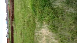 Plot Area in  Plot at Manatu – for Sale
