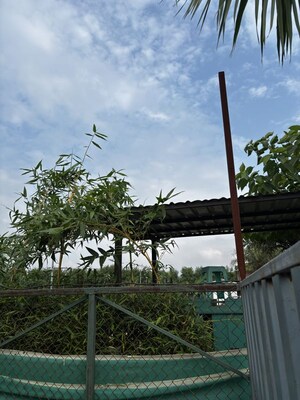  Plot – Garden View at Noida Central - for Sale