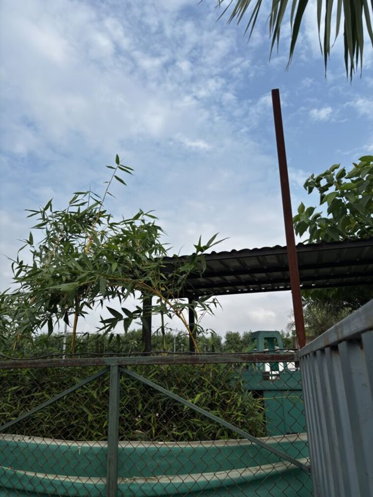 Garden, noida central  1008 Sq.Ft. Plot In Noida Central Noida 10726983