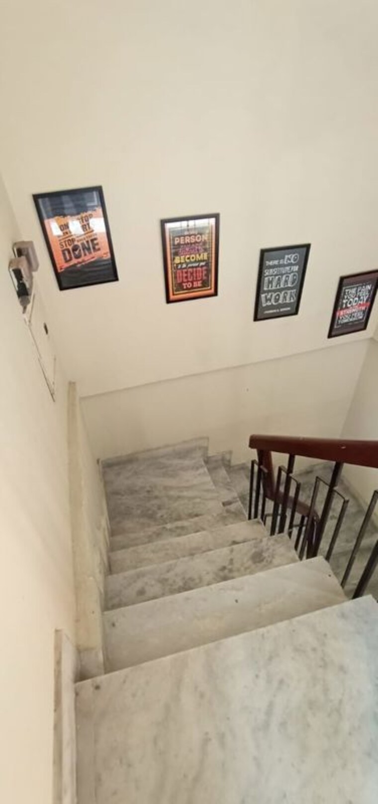 undefined, sector 37 1 Bedroom 800 Sq.Ft. Builder Floor In Sector 37 Chandigarh 10726998