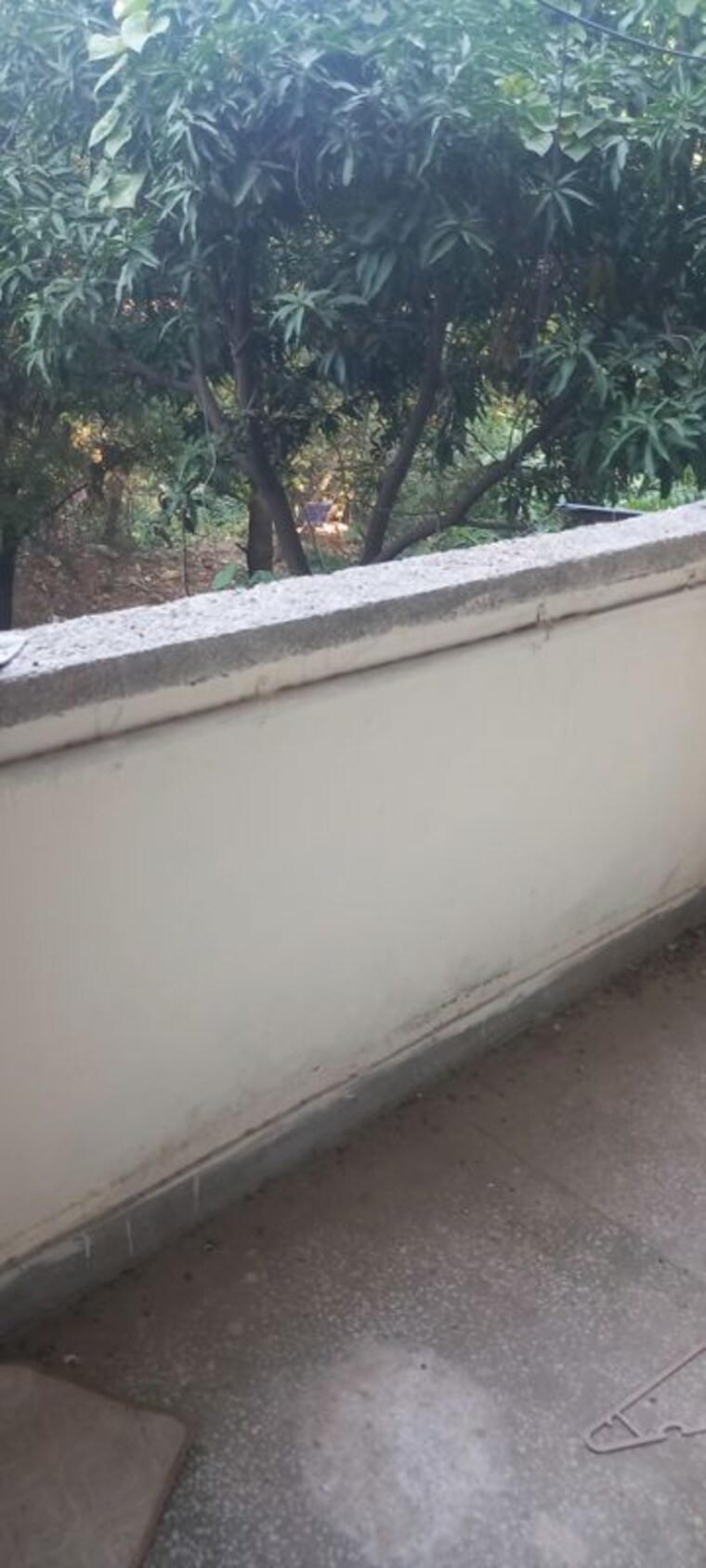 Balcony, ip extension 2 Bedroom 900 Sq.Ft. Apartment In Ip Extension Delhi 10727065