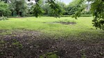20000 Sq.Ft. Plot in Kiran Sora