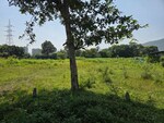 43560 Sq.Ft. Plot in Kalyan