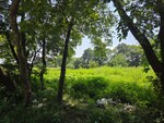 115434 Sq.Ft. Plot in Kalyan
