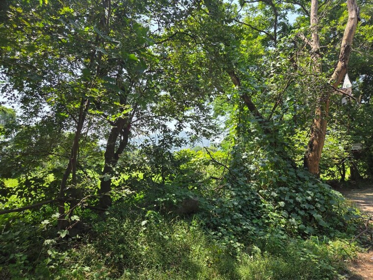 undefined, kalyan  115434 Sq.Ft. Plot In Kalyan Thane 10728141