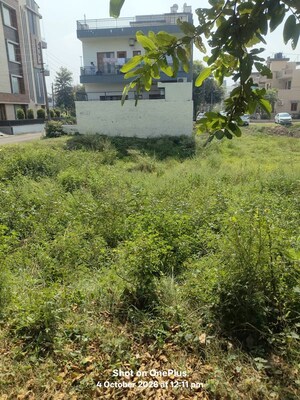 Plot Area in  Plot at Sector 27 – for Sale