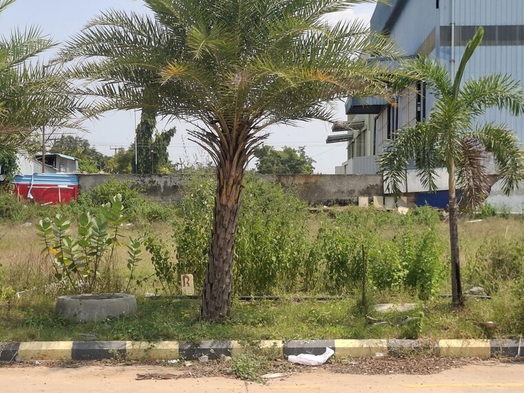 undefined, peddapur  254 Sq.Yd. Plot In Peddapur Hyderabad 10728453