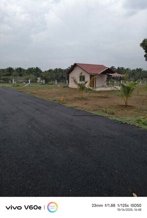   Plot at Kinathukadavu – for Sale
