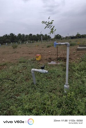  Plot For Sale in Kinathukadavu