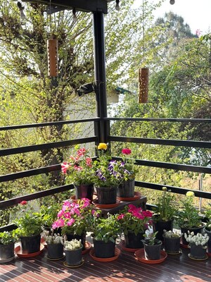 4 BHK Independent House – Garden View at Bhimtal - for Sale
