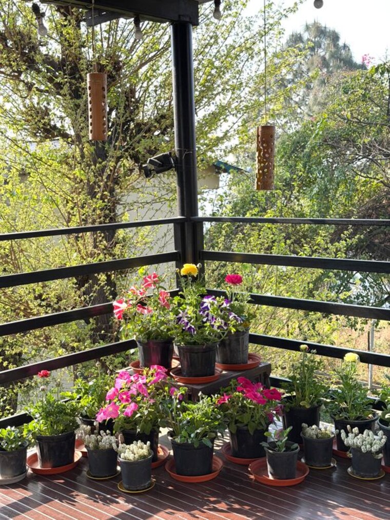 Garden, bhimtal 4 Bedroom 1000 Sq.Yd. Independent House In Bhimtal Nainital 10728526