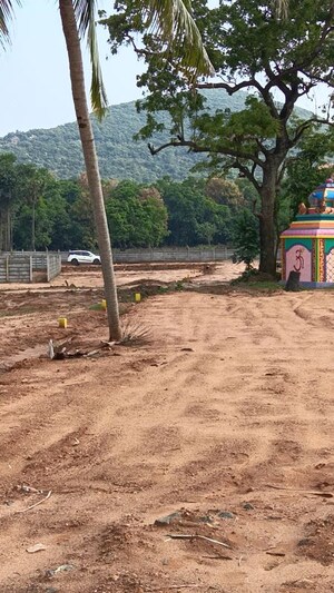  Plot – Exterior View View at Kothavalasa - for Sale