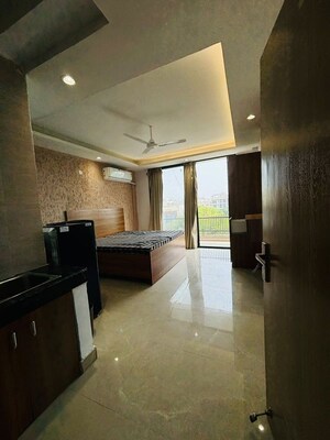 1 RK Apartment For Rent in DLF Pink Town House, Dlf City Phase 3