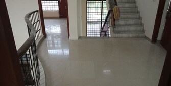 3.5 BHK +Apartment For Sale in Amrapali Hanging Gardens in Sector 107, Noida
