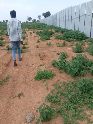  Land – Exterior View View at Srisailam Highway - for Sale