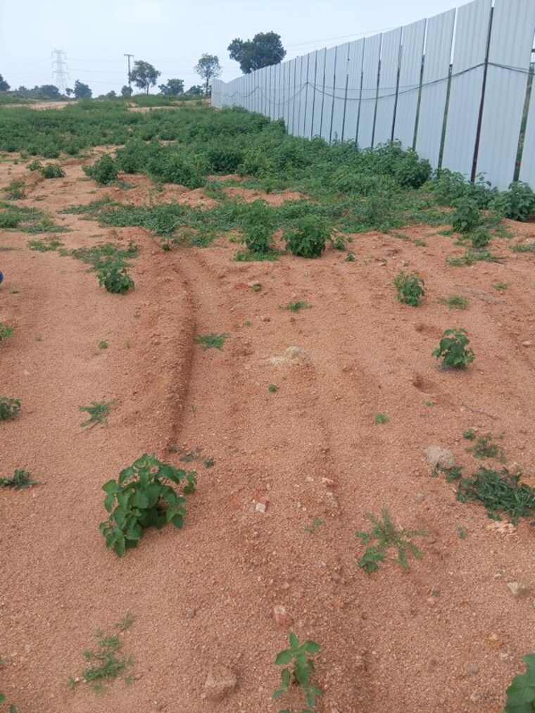 undefined, srisailam highway Commercial Land 300 Sq.Yd. In Srisailam Highway Hyderabad 10728635