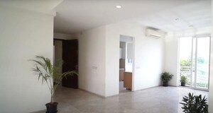 3 BHK Builder Floor For Rent in Sector 21