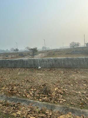  Plot For Sale in TDI City Kundli, Kundli