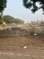 250 Sq.Ft. Plot in TDI City Kundli