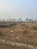 250 Sq.Ft. Plot in TDI City Kundli
