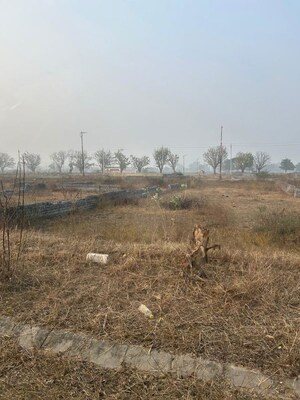 Plot Area in  Plot at TDI City Kundli, Kundli – for Sale
