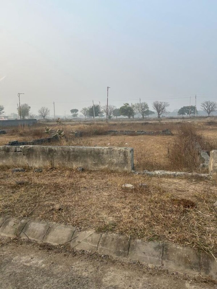 undefined, tdi-city-kundli  250 Sq.Ft. Plot In Kundli Sonipat 10728784