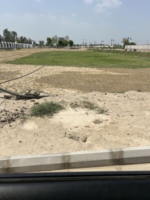  Plot For Sale in TDI City Kundli, Kundli