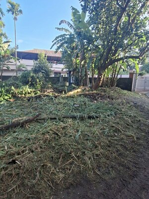  Plot – Exterior View View at Karingachira - for Sale