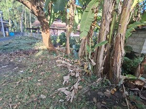 Plot Area in  Plot at Karingachira – for Sale