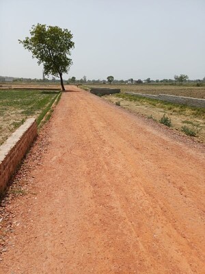  Plot For Sale in Kanwara Village