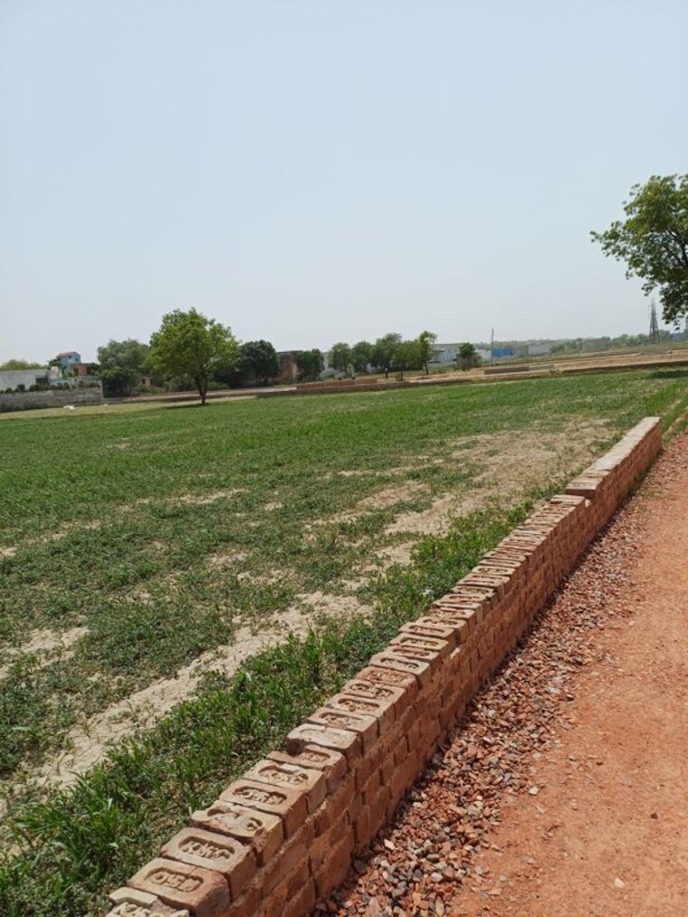 Swimming Pool, kanwara village  65 Sq.Yd. Plot In Kanwara Village Faridabad 10728994